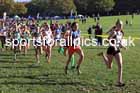Girls under-15s, 2024 Northern Cross Country Relays, Graves Park, Sheffield.   Photo: David T. Hewitson/Sports for All Pics